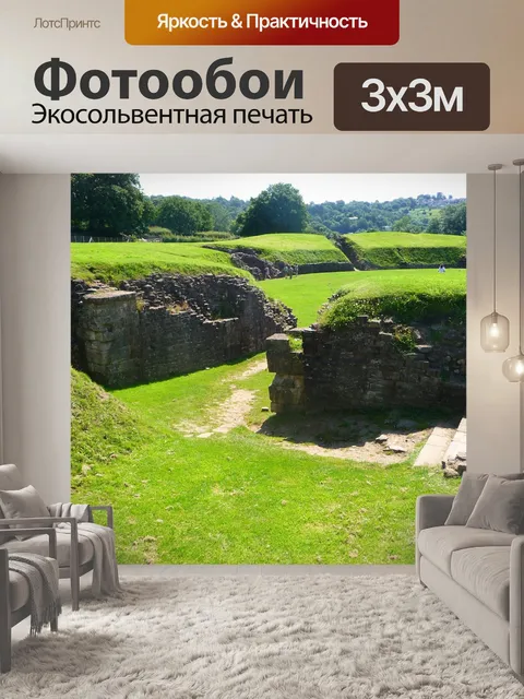 Фотообои Роман