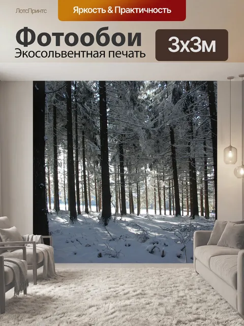 Фотообои Зима