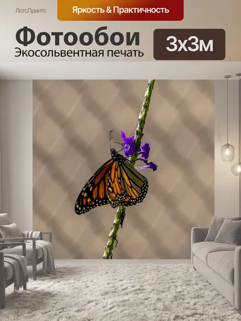 Фотообои Бабочка
