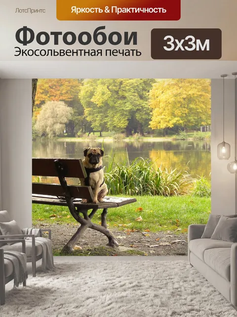 Фотообои Мопс