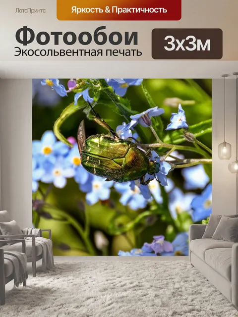 Фотообои Жук-роза