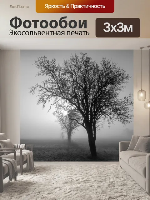 Фотообои Туман