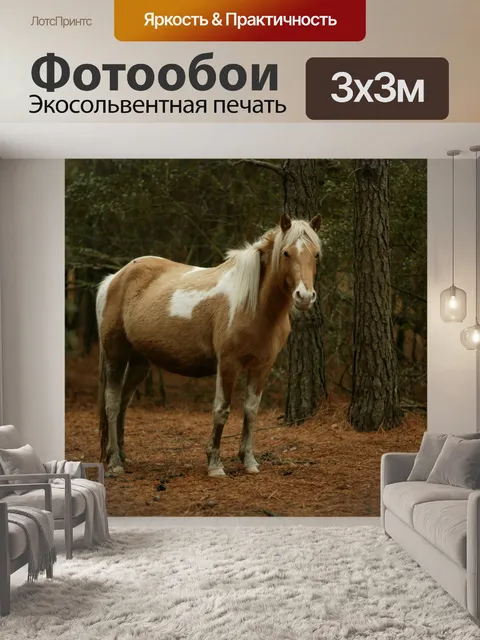 Фотообои Звериная Пони в лесу