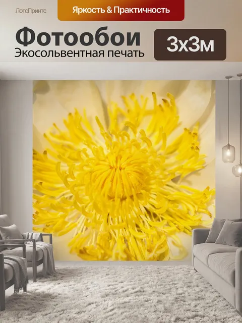 Фотообои Красивый цветок лотоса кувшинки