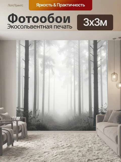 Фотообои Туманный сосновый лес