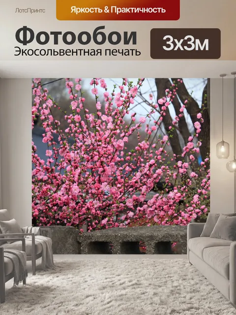 Фотообои Цветок