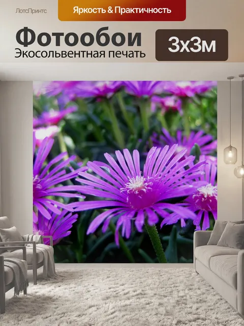 Фотообои Vygies