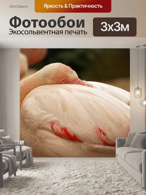 Фотообои Фламинго