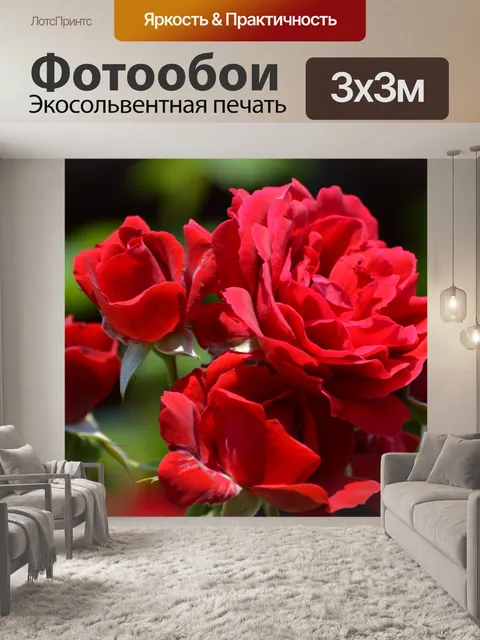 Фотообои Красные розы