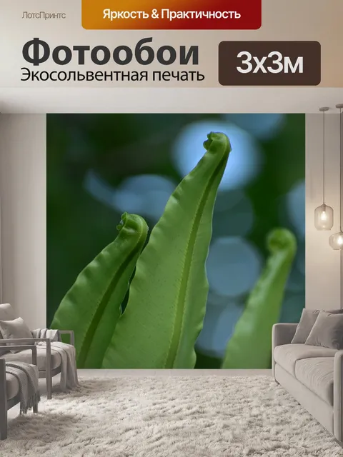 Фотообои Папоротник побеги