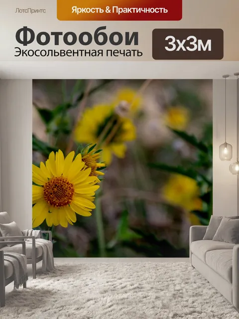 Фотообои Желтые цветы ромашки