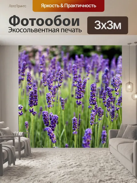 Фотообои Lavender