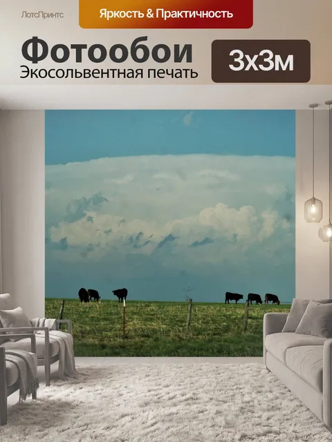 Фотообои Штормовые облака и коровы