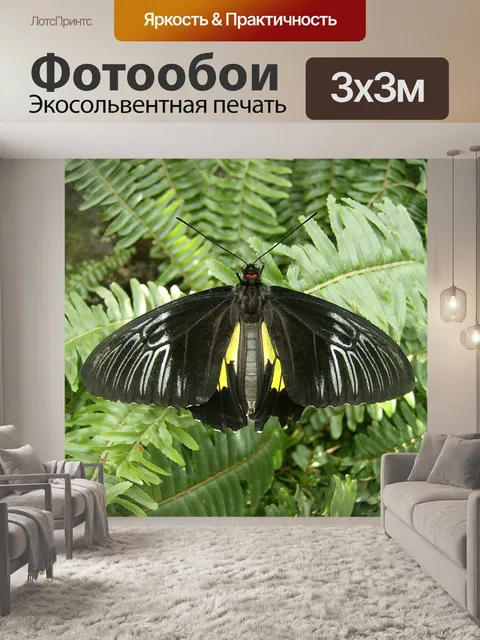 Фотообои Бабочка