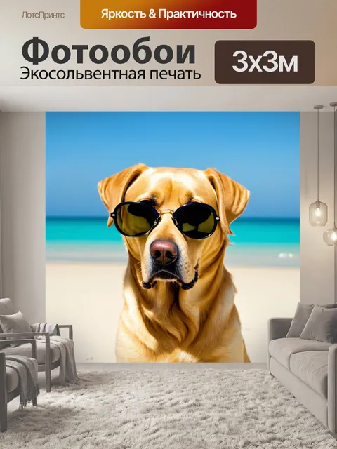 Фотообои лабрадор, позирующий в очках солнцезащитных, летний день, отпуск и веселье