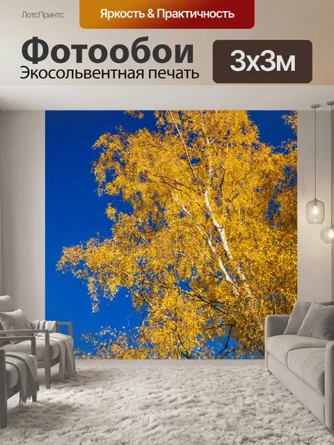 Фотообои Береза осенью