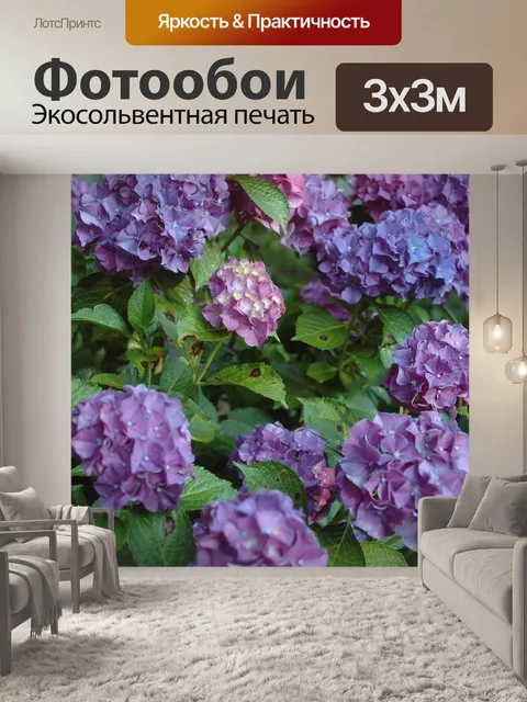 Фотообои Гортензия