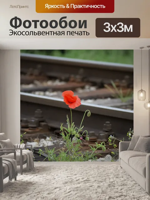 Фотообои Один красный мак