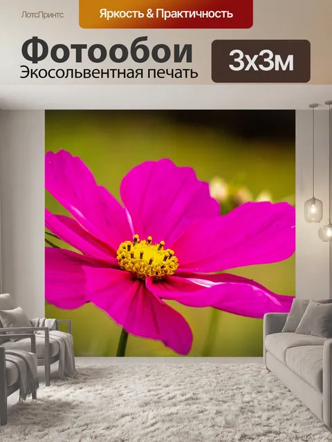 Фотообои Цветы