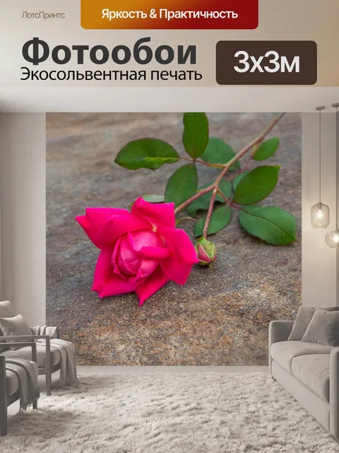 Фотообои Роза