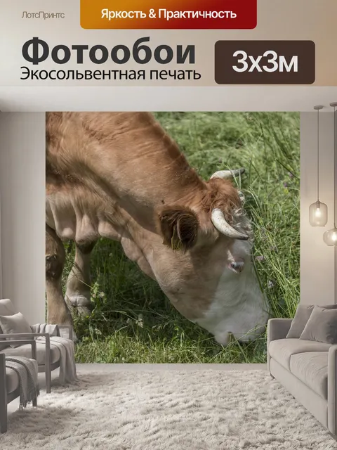 Фотообои Корова