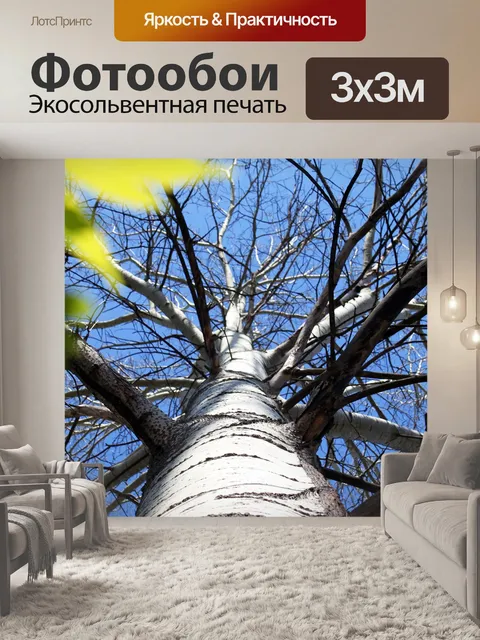 Фотообои Весна