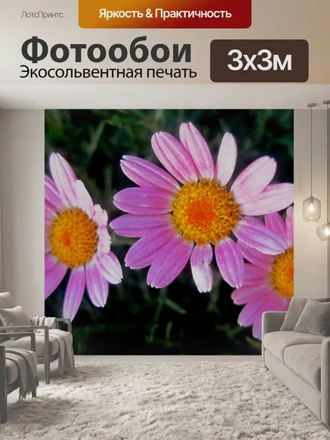 Фотообои три розовые маргаритки