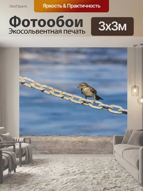 Фотообои воробей