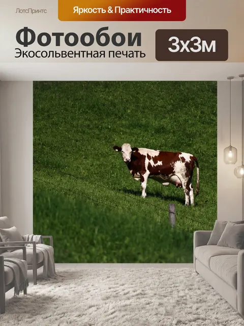 Фотообои Корова