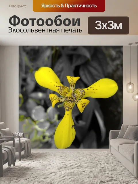 Фотообои Желтый ирис