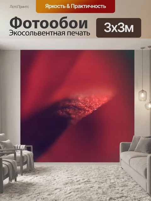 Фотообои Красный цветок