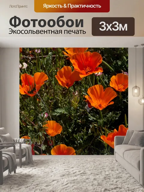 Фотообои Маки