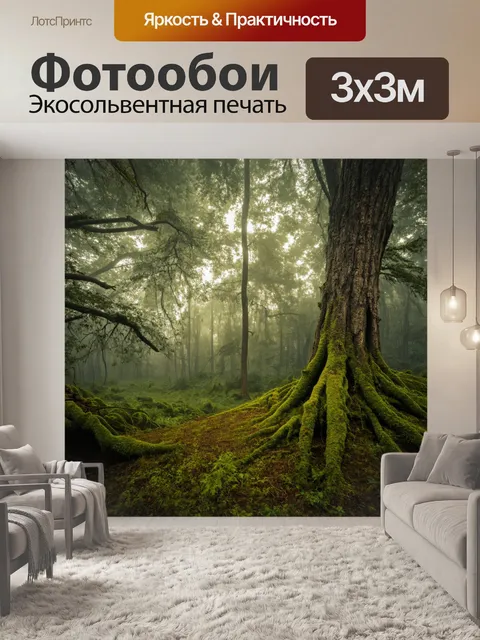 Фотообои лес с прохладным утренним туманом и древними деревьями