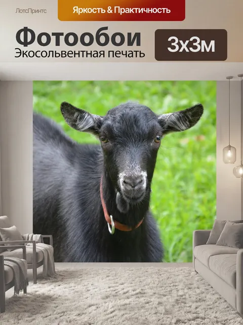 Фотообои Козел черный белый