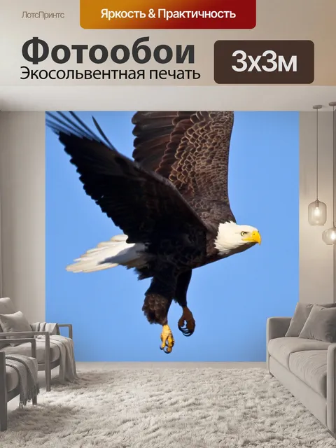 Фотообои Белоголовый орлан