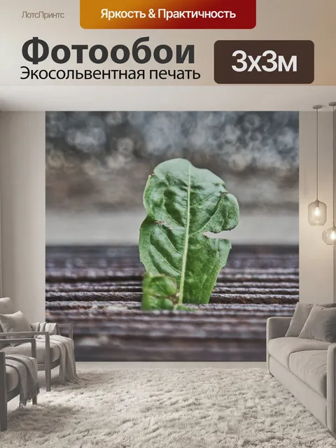 Фотообои Лист