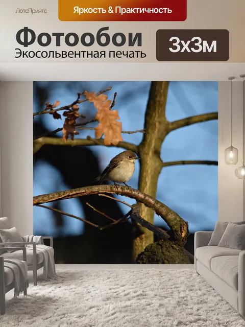 Фотообои Золушка