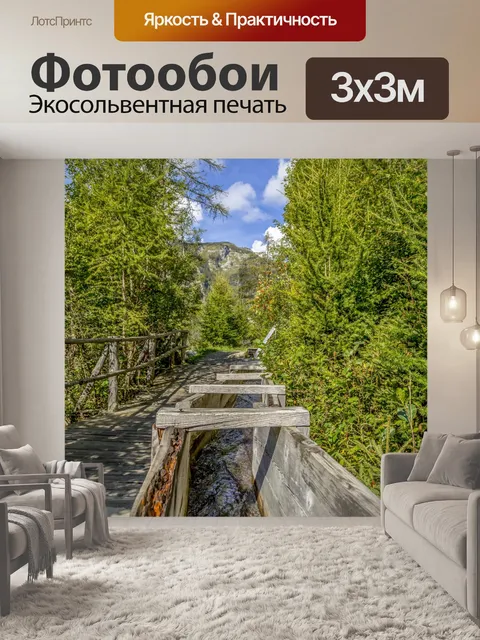 Фотообои Летний лесной путь