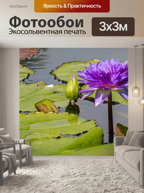 Фотообои Цветок