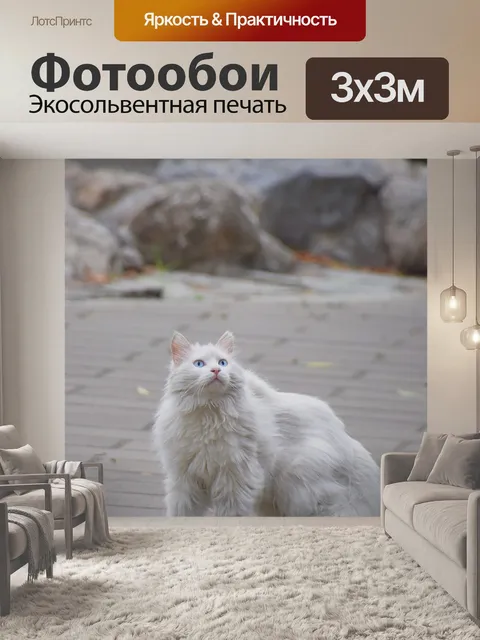 Фотообои Кошка
