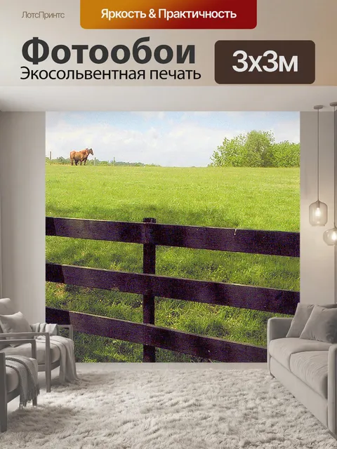 Фотообои Два Horses