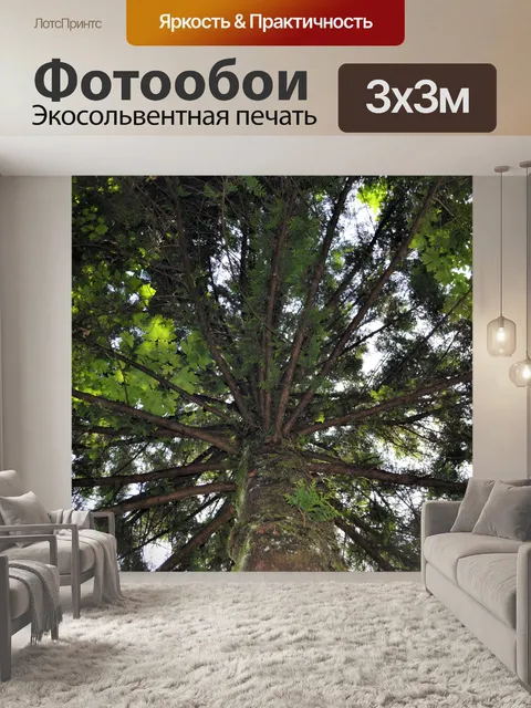 Фотообои Дерево