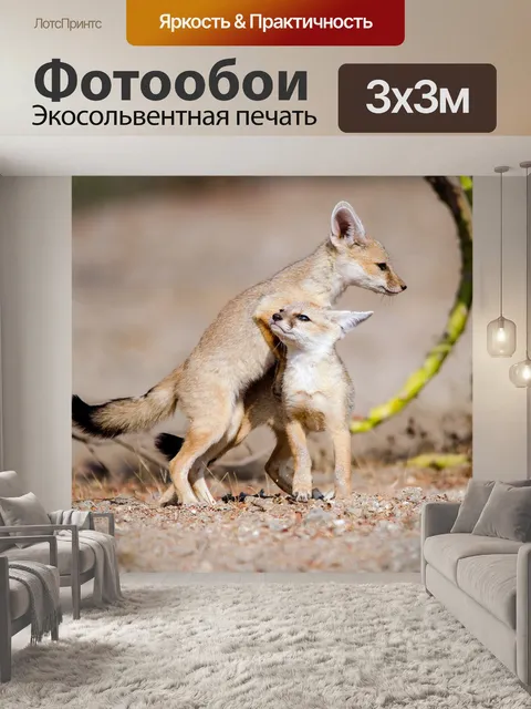Фотообои Лиса