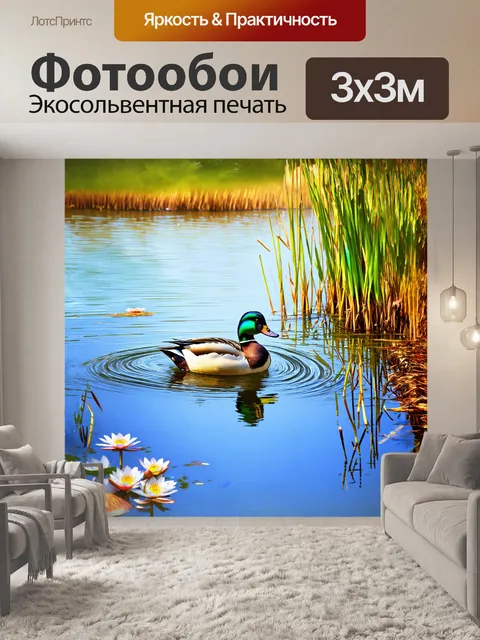 Фотообои утка, плавно плывущая по спокойному озеру, её яркое оперение отражается в водной глади, создавая эффект…