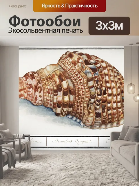 Фотообои Ракушка улитка винтажное искусство