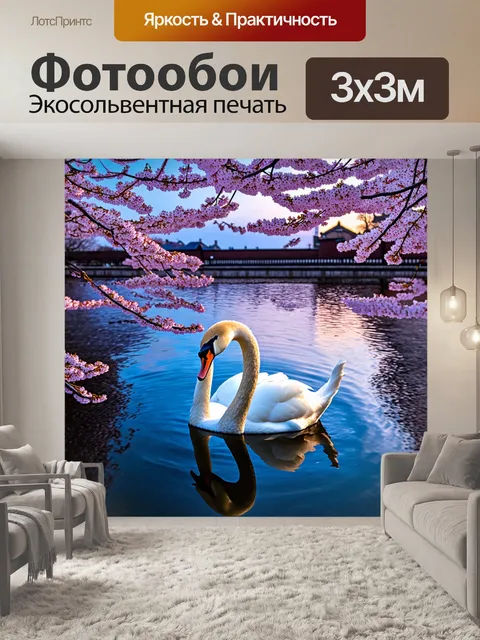 Фотообои лебедь, отражающийся в воде под цветами сакуры на фоне вечернего неба