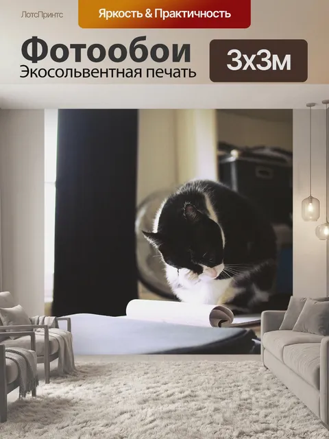 Фотообои Кошка
