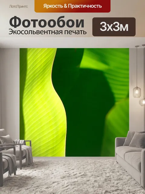 Фотообои Пальма