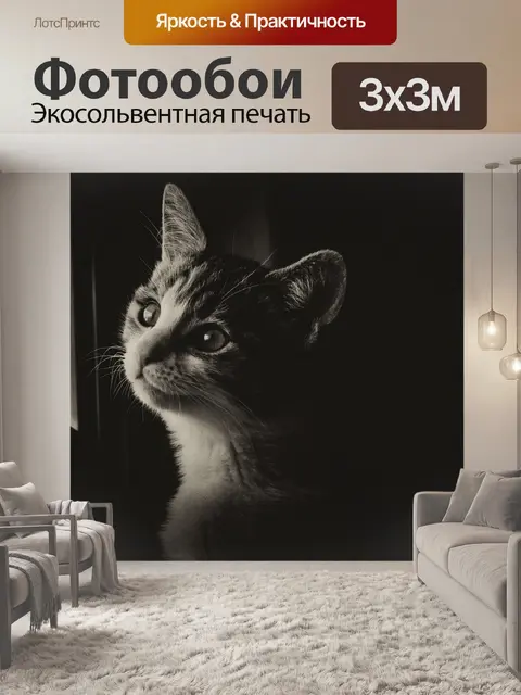 Фотообои Кошка