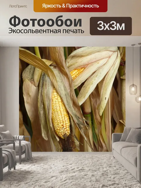 Фотообои Урожай